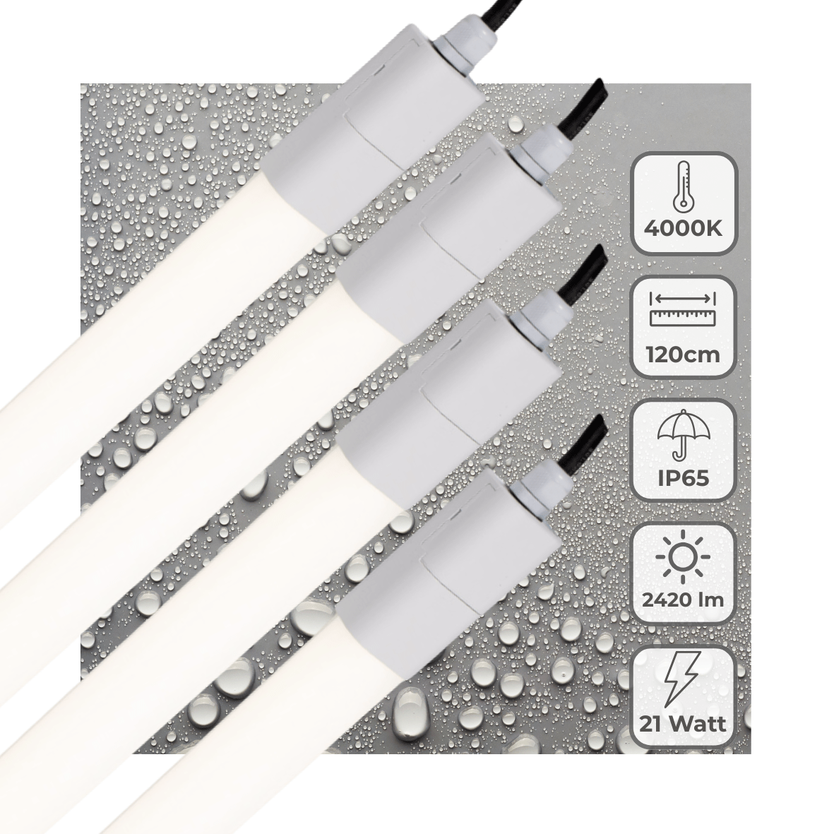 4 PACK - LED's Light LED TL verlichting compleet 120 cm - Geschikt voor buiten en binnen - 2420 lm TL verlichting LED.nl