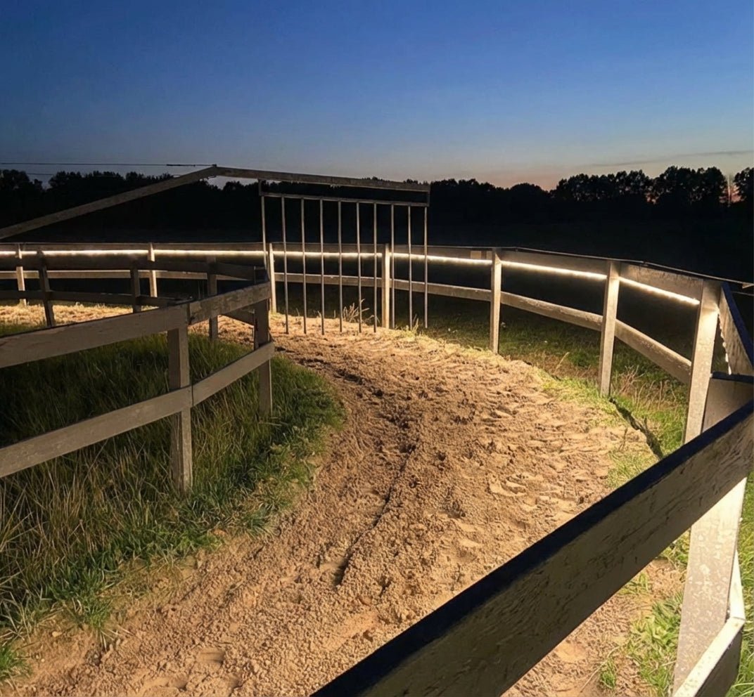 Baanverlichting Paarden of longeerbak Horsewalker Verlichting 50m - Verlengbaar tot 75 meter - 40.000 lm) Led.nl