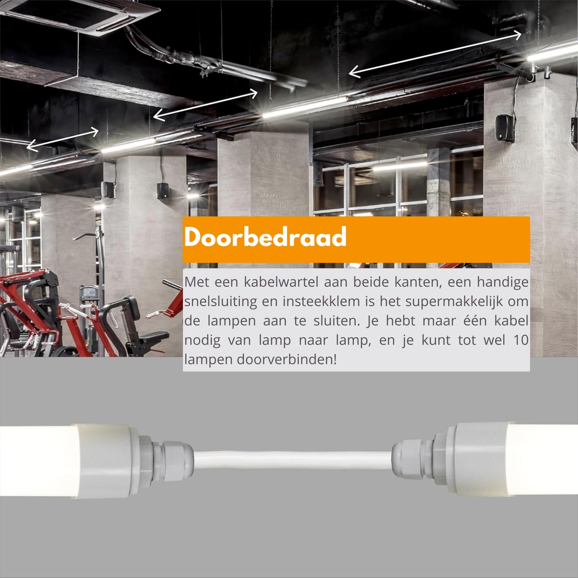 4 PACK - LED's Light LED TL lamp compleet - Koppelbaar tot 10 lampen - Waterdicht - 36W, 120cm, 4320lm 4000K - IP65 IK08 TL verlichting LED.nl