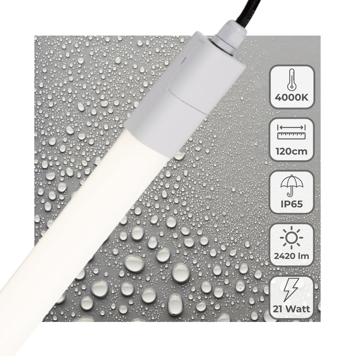 LED's Light LED TL verlichting compleet 120 cm - Geschikt voor buiten en binnen - 2420 lm TL verlichting LED.nl