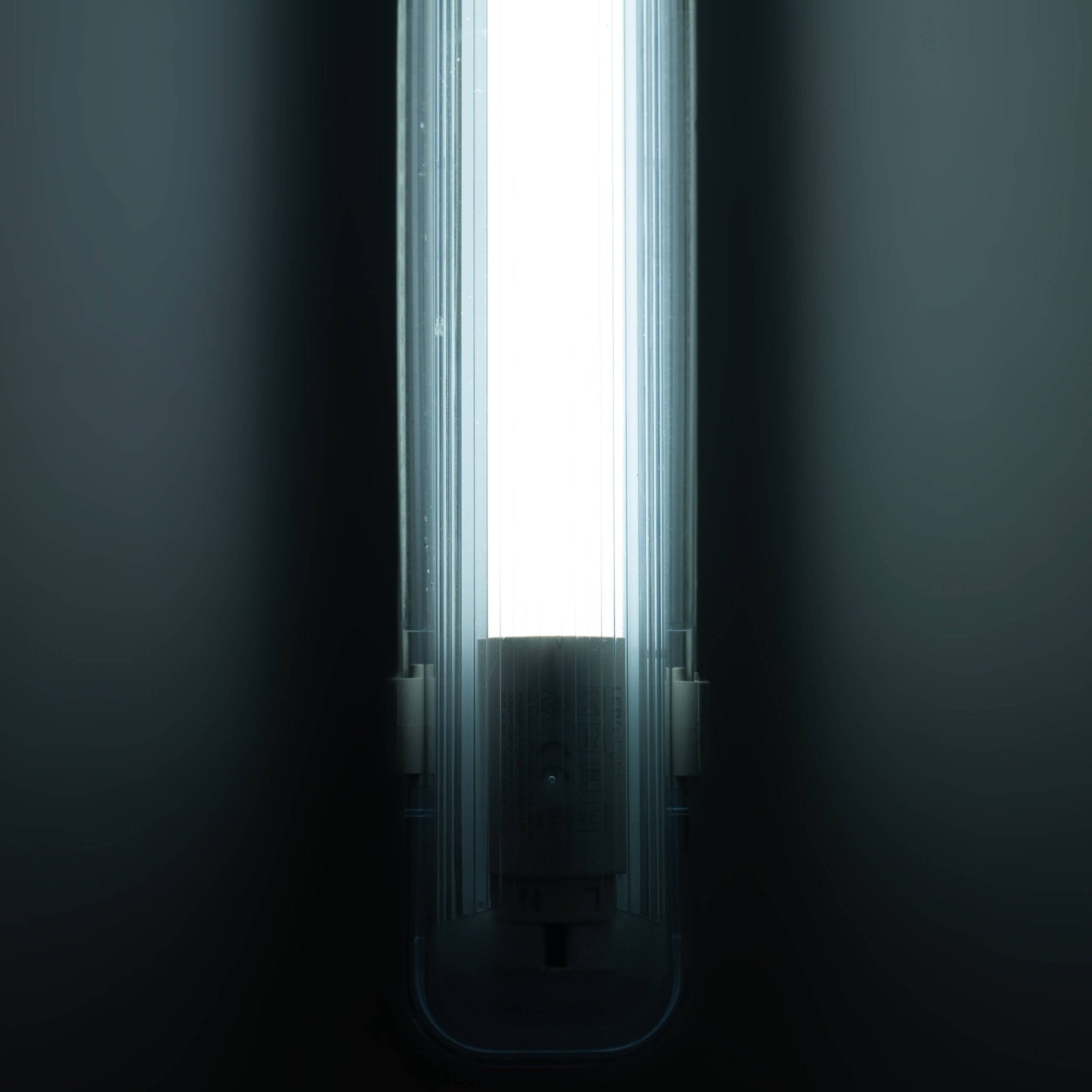 LED's Light Universele TL lamp LED 150 cm met starter - Koud wit licht (6500K) - 2520 lm Lichtbronnen Led.nl