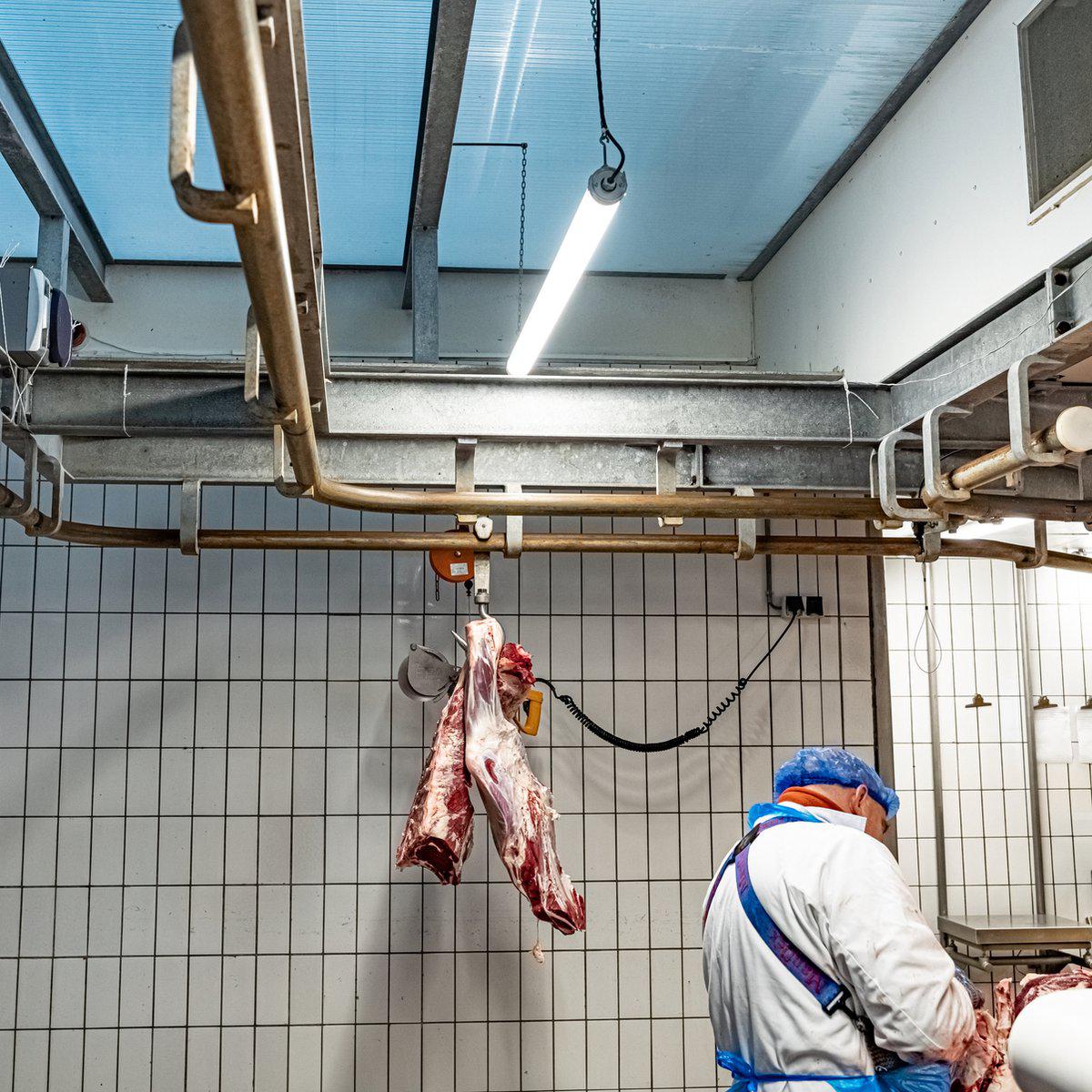 LED's Light Pro FarmPro LED TL armatuur 150 cm - Agrarische LED TL verlichting - Ammoniak- en waterbestendig - IP69K - IP67 TL verlichting LED.nl