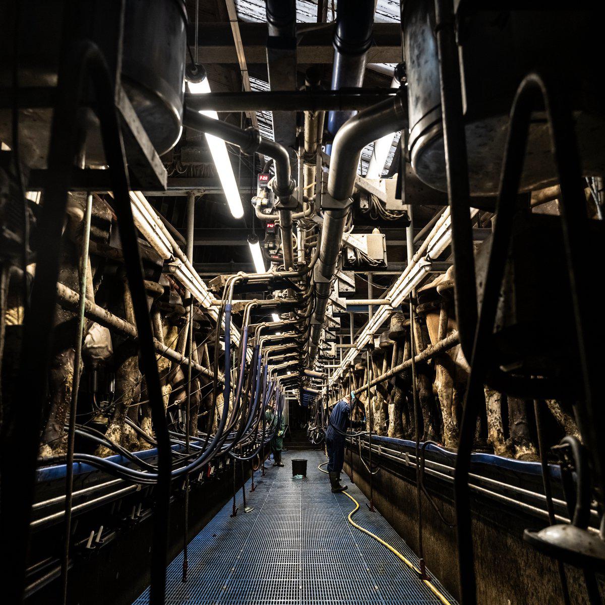 LED's Light Pro FarmPro LED TL armatuur 150 cm - Agrarische LED TL verlichting - Ammoniak- en waterbestendig - IP69K - IP67 TL verlichting LED.nl