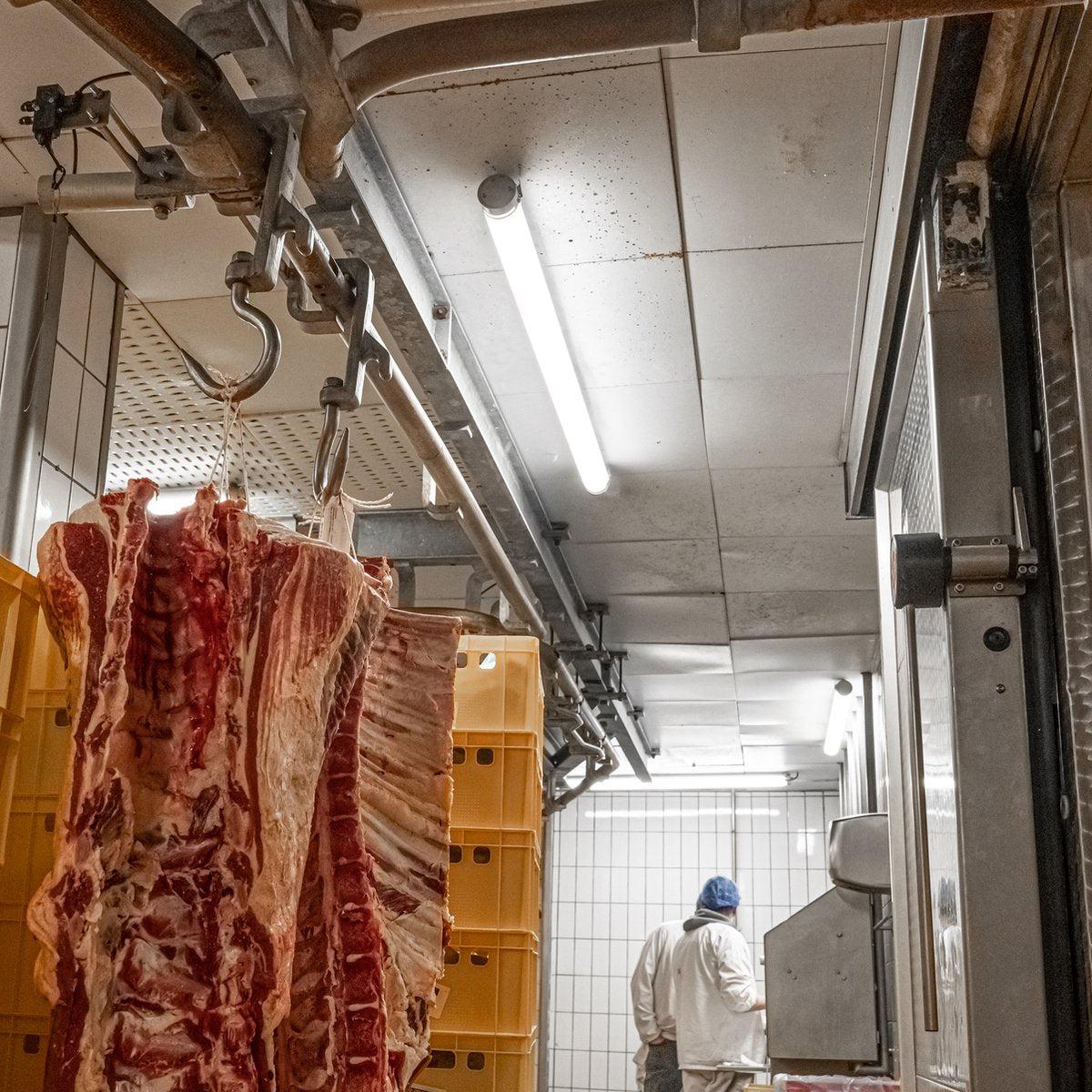 LED's Light Pro FarmPro LED TL armatuur 150 cm - Agrarische LED TL verlichting - Ammoniak- en waterbestendig - IP69K - IP67 TL verlichting LED.nl