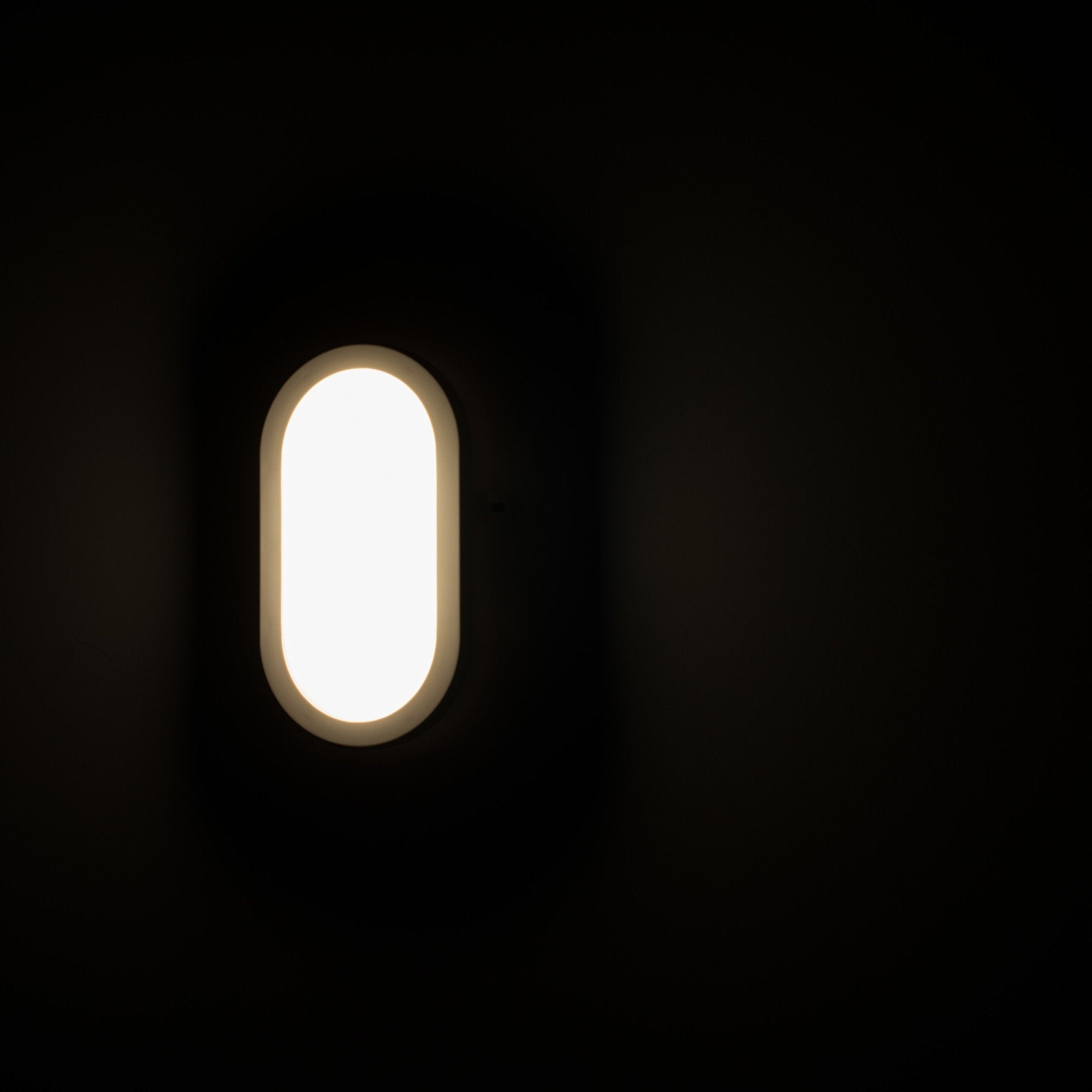 Proventa Outdoor LED Bull eye buitenlamp - Wandlamp model Ovaal voor buitengebruik Wandlampen LED.nl