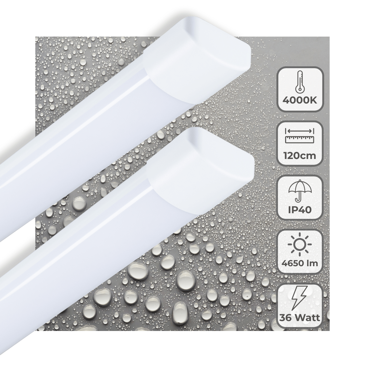 2 PACK LED's Light LED TL lamp 120 cm voor binnen - Complete LED TL verlichting - 4650 lm - LED.nl