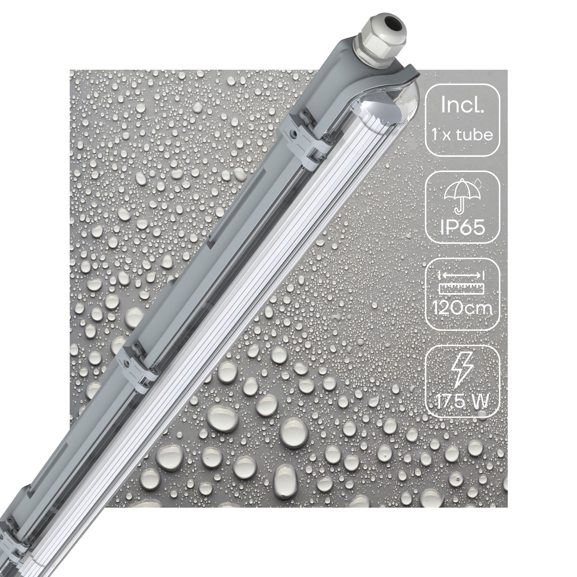 LED's Light LED TL armatuur 120 cm compleet met LED TL buis - 1800 lm - LED.nl