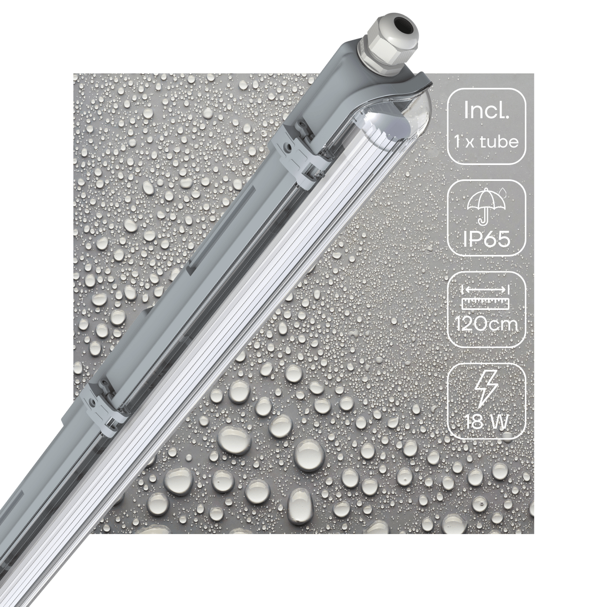 LED's Light LED TL armatuur met lamp 120 cm - Koud wit licht 6500 K - Waterdicht - Complete set - LED.nl