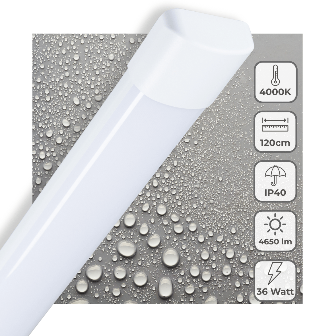 LED's Light LED TL lamp 120 cm voor binnen - Complete LED TL verlichting - 4650 lm - LED.nl