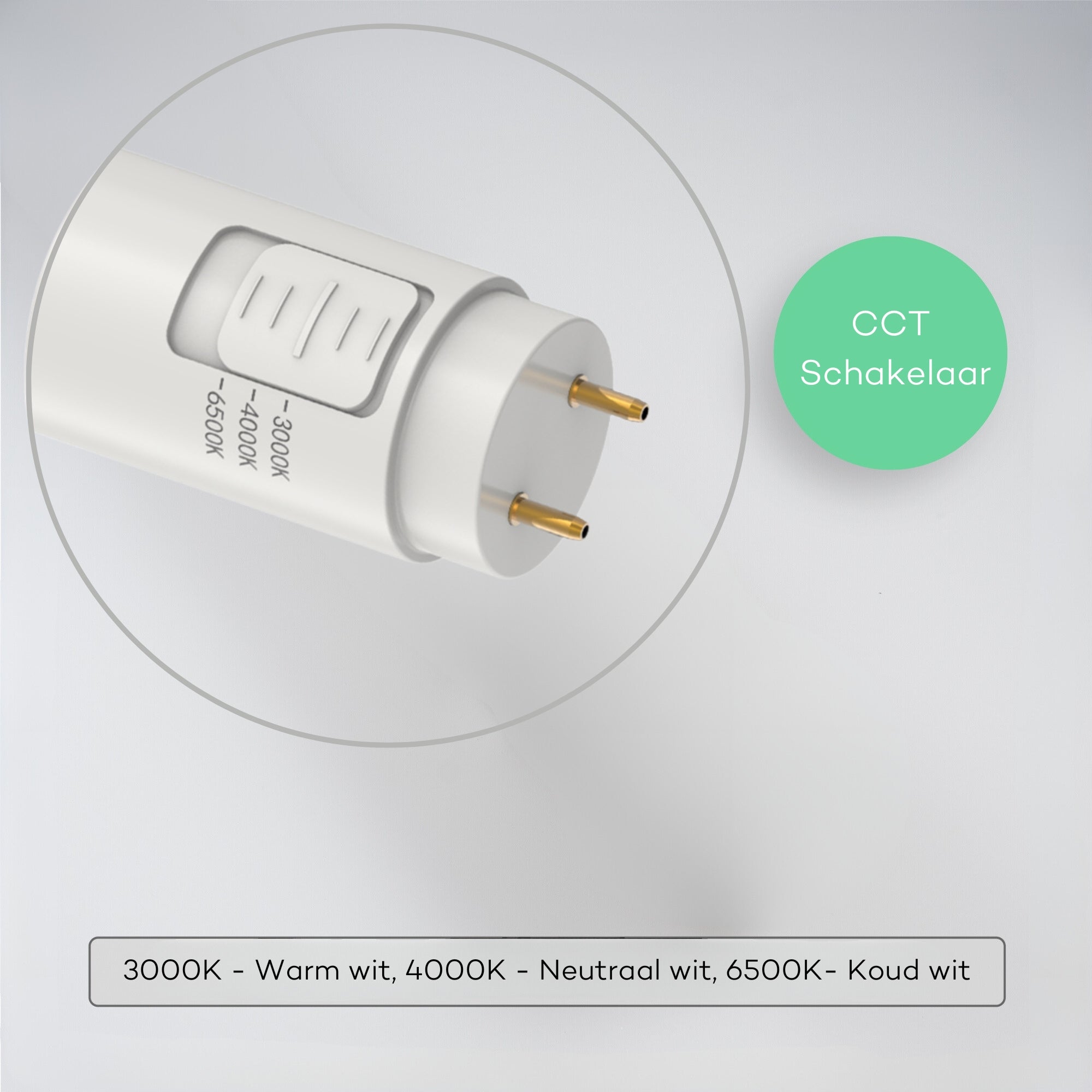 LED's Light LED TL verlichting compleet met LED TL buis 120 cm - 3 lichtkleuren - 18W (36W) - LED.nl