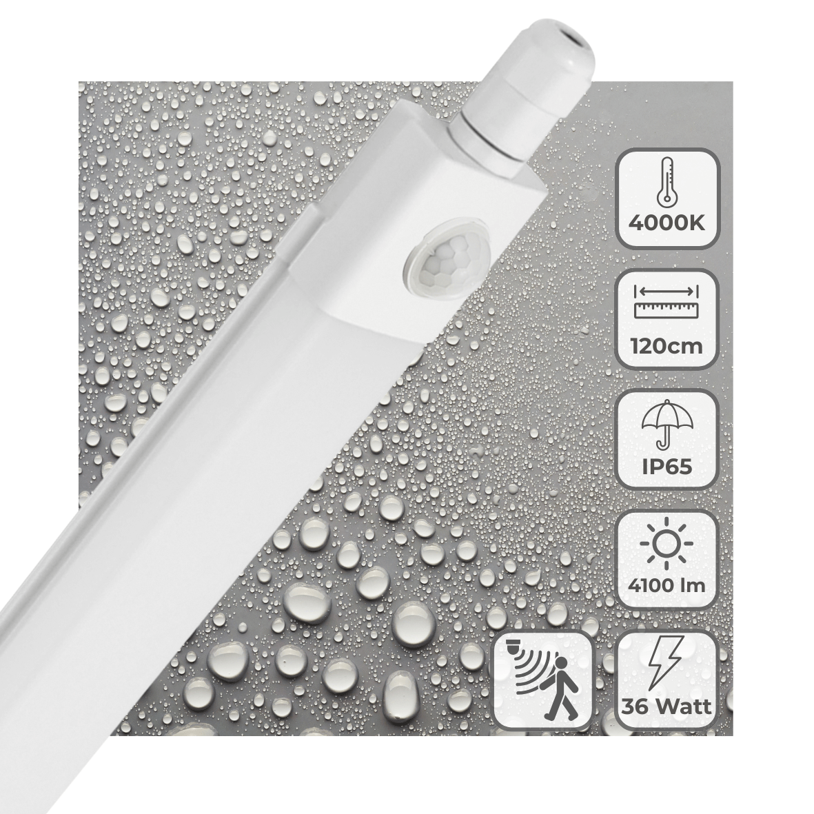 LED's Light LED TL verlichting met sensor 120 cm - Bewegingssensor en bewegingsdetectie - 4100 lm - LED.nl