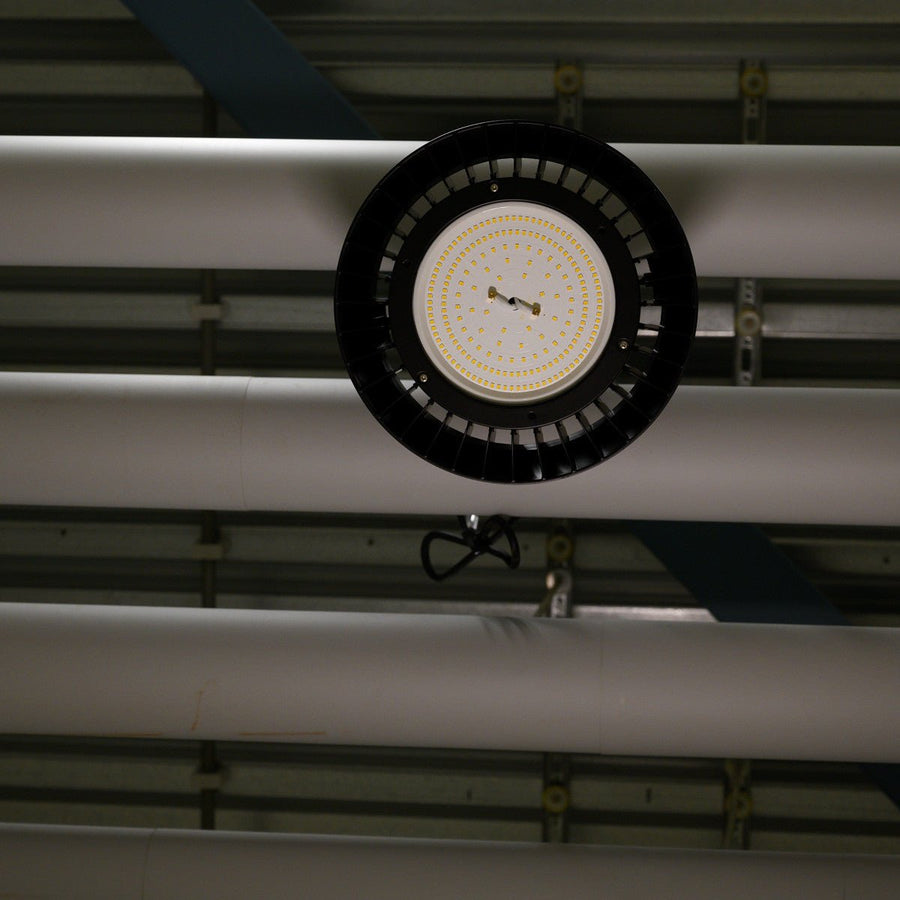 LED's Light pro High Bay - 200W 28000lm 4000K - Cree LED - Dimbaar 1-10V - High bays LED.nl