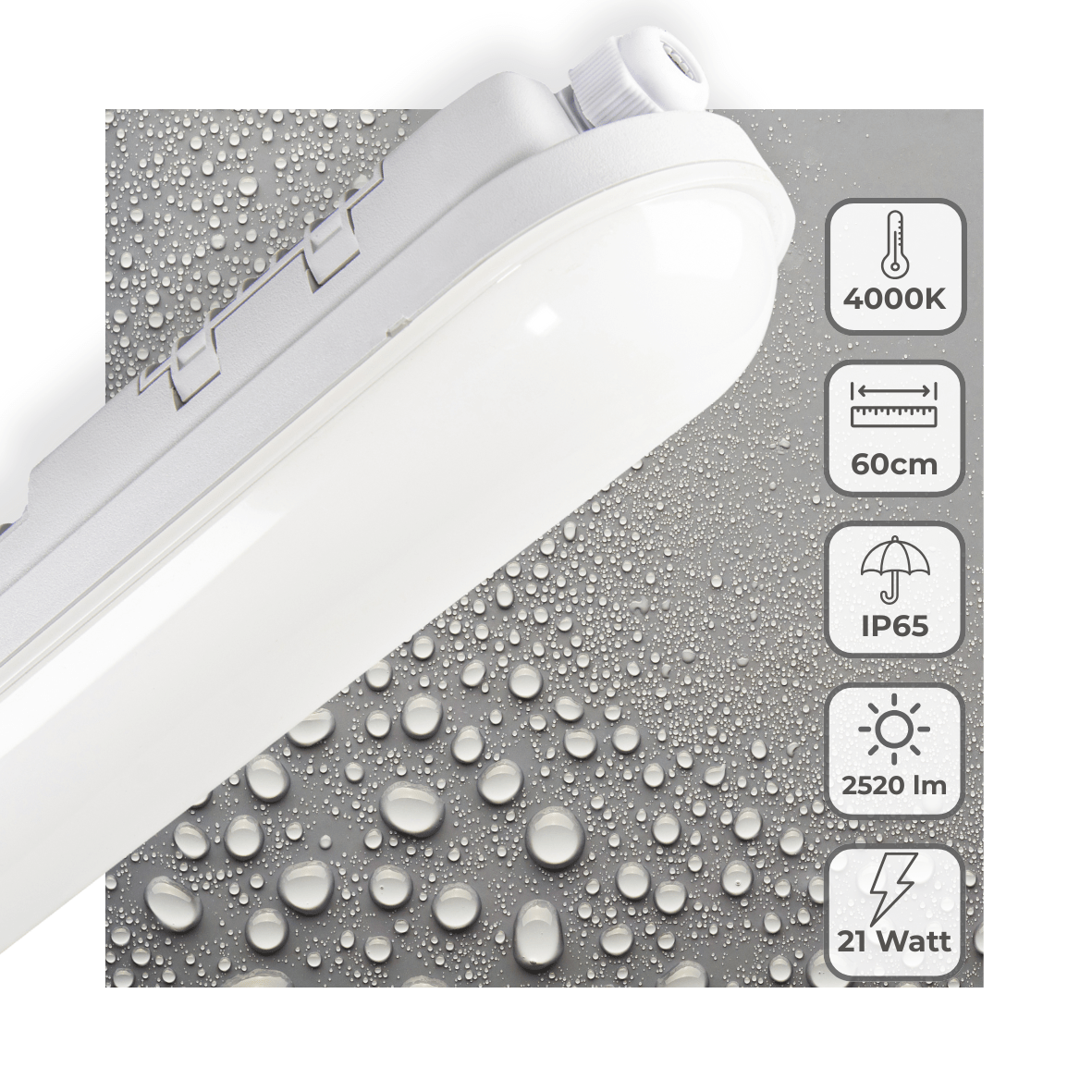 LED's Light Pro TL armatuur 60 cm – Geschikt voor binnen en buiten – 2500 lumen – IP65 waterdicht - LED.nl