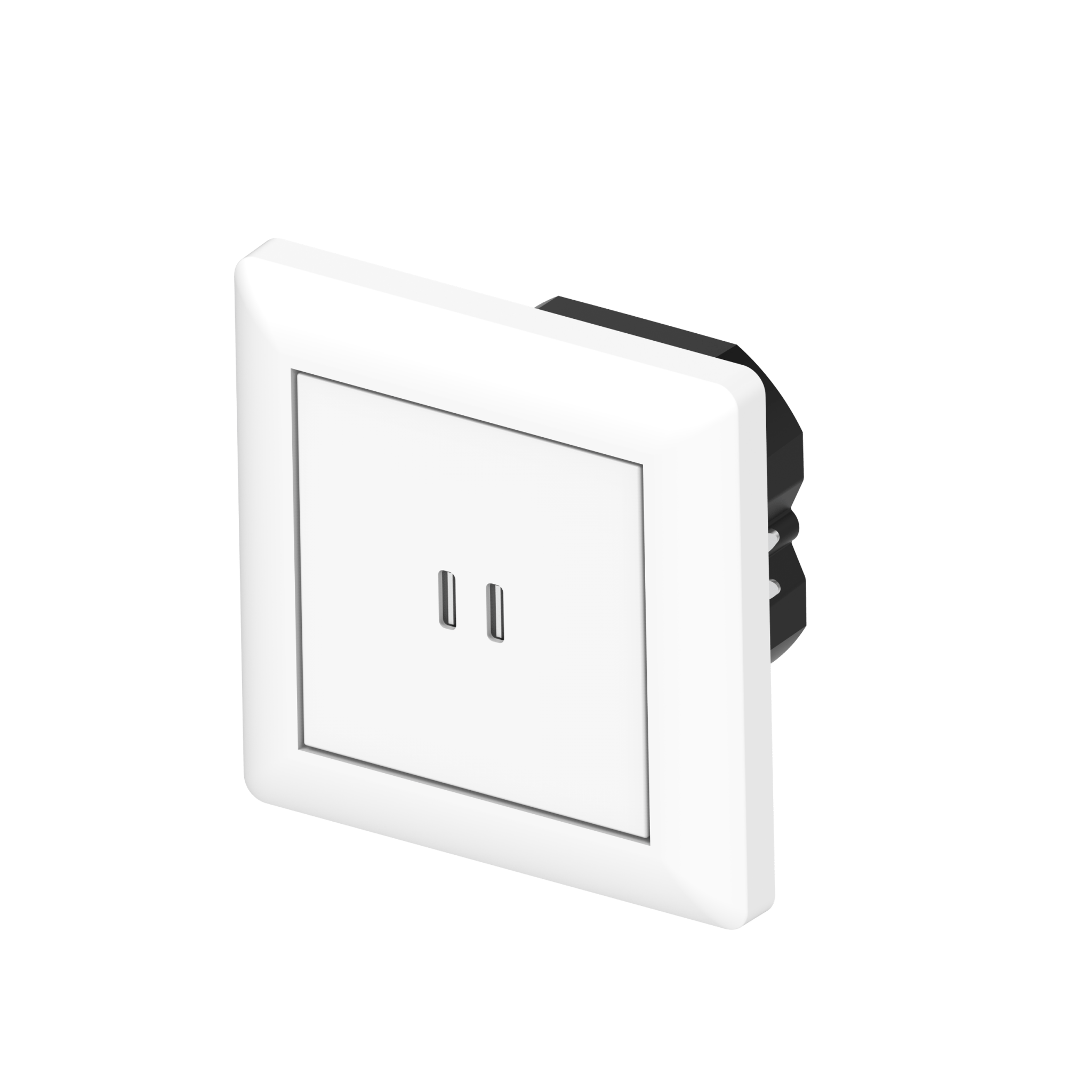 ProCharge USB-C inbouw wandcontactdoos stopcontact duo - 2 snelladers USB-C poorten - Universeel - Wit Stekkers LED.nl