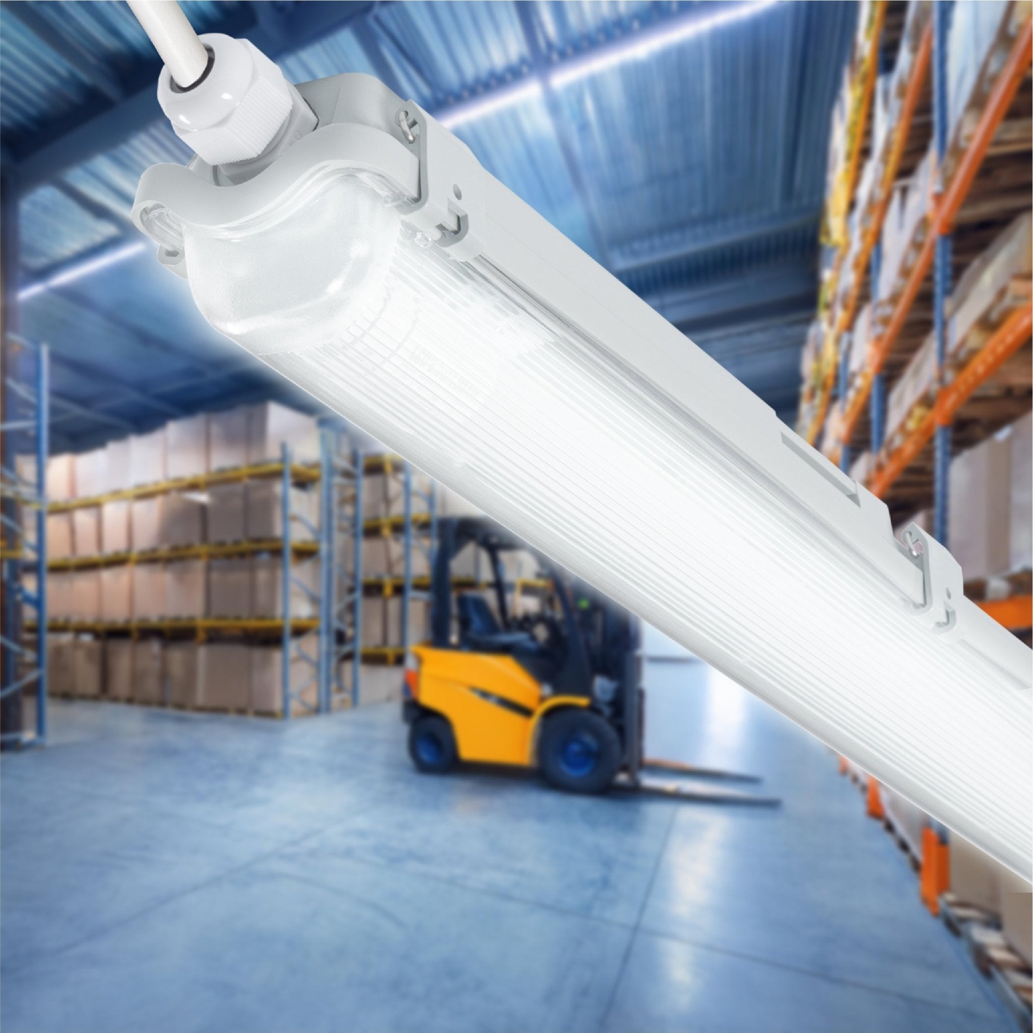 Proventa LED TL armaturen met lampen 120 cm - Koud wit licht 6500 K - Waterdicht - Voordeelverpakking - 8 stuks - LED.nl