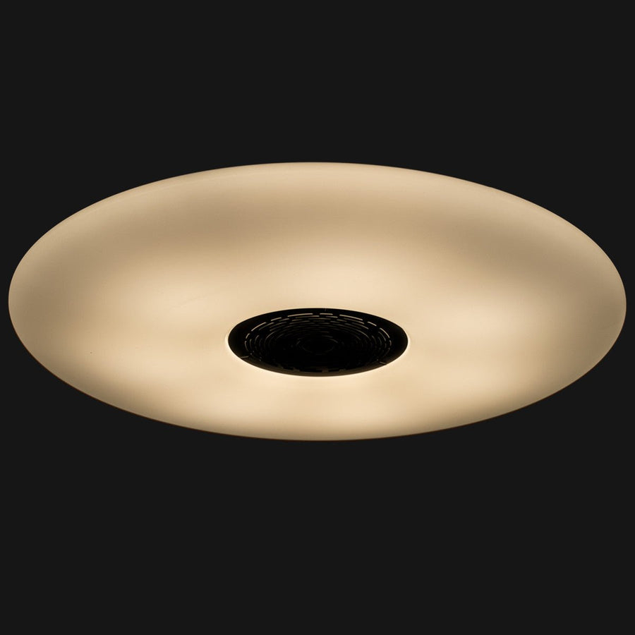 VoiceControl LED Plafondlamp 50 cm met Google Nest & Amazon Echo Dot houder - Bedienbaar met App Slimme lampen LED.nl