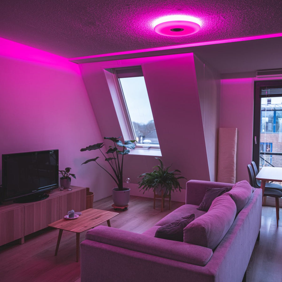 VoiceControl LED Plafondlamp 50 cm met Google Nest & Amazon Echo Dot houder - Bedienbaar met App Slimme lampen LED.nl