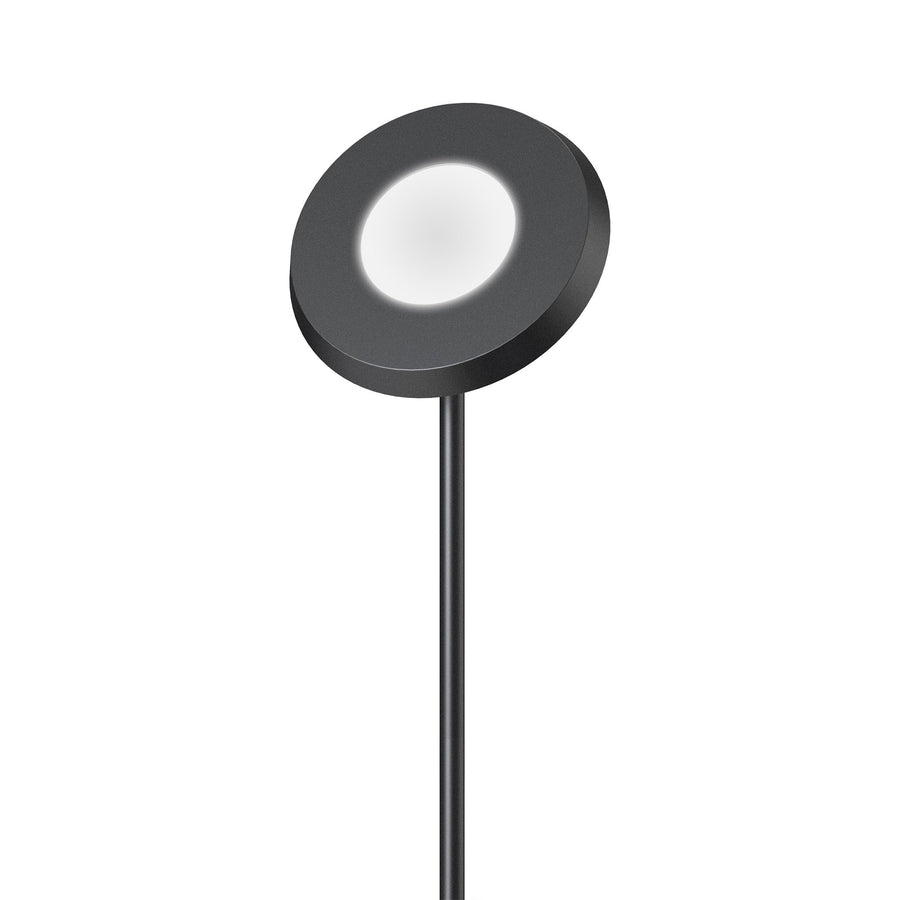 Ambiente-LED-Stehleuchte – weiß und farbig – leuchtet nach unten und oben – bedienbar mit App - LED.de
