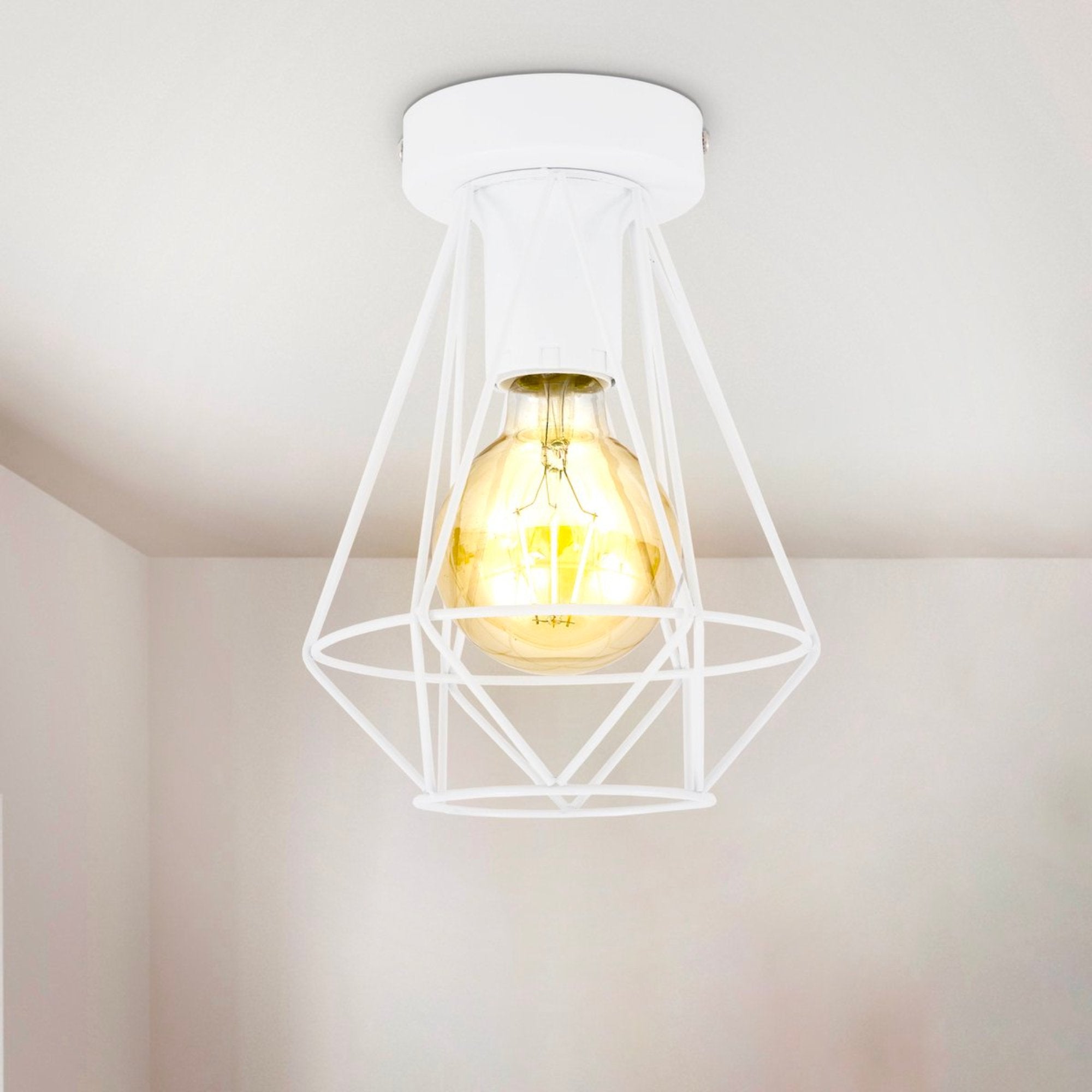 B.K.Licht - Decoratieve witte plafondlamp - Metaal - Industrieel - Draad - Ø16.5cm - Met E27 fitting - Excl. lichtbron LED.nl