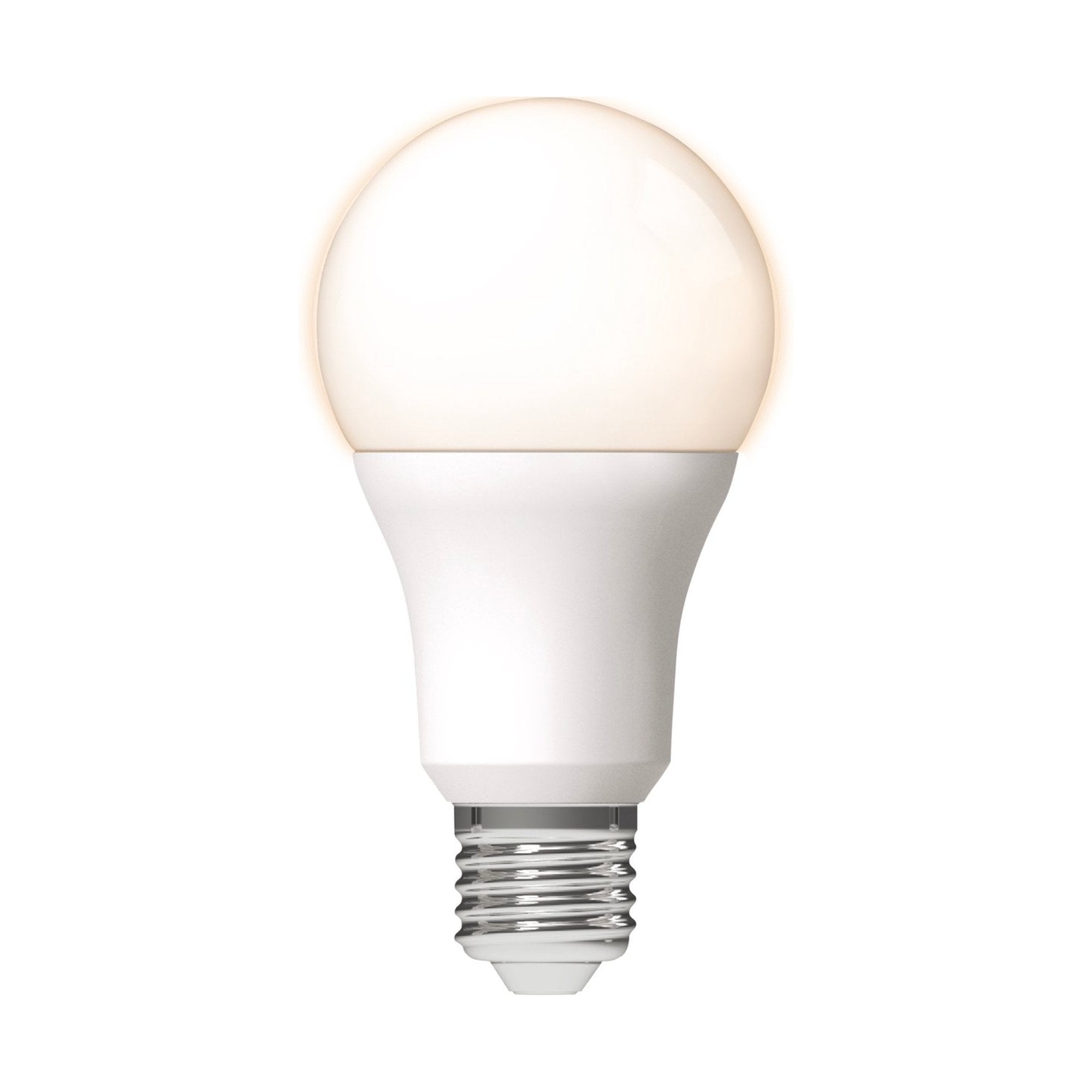LED Lamp E27 - Mat - Warm wit - 13W vervangt 100W - LED.nl