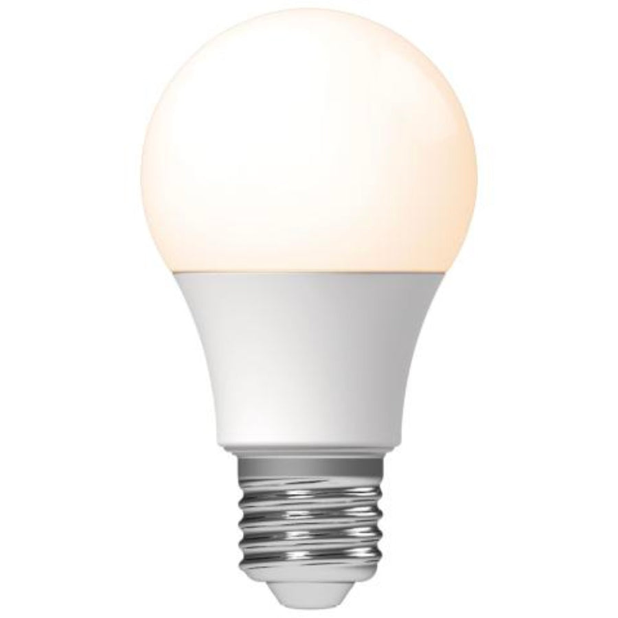 LED lampen met grote E27 fitting - Warm wit licht - 8W/60W - 3PACK Lichtbronnen LED.nl