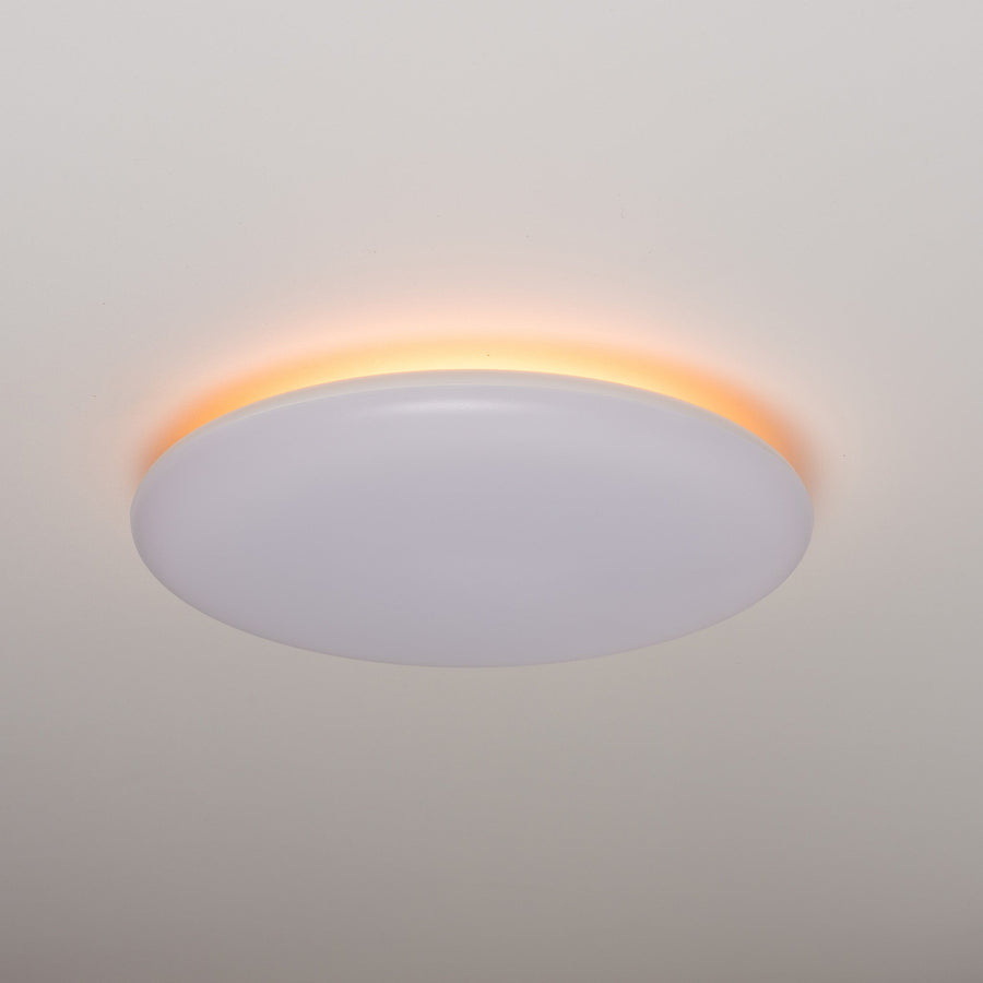 LED.nl Dimmbare LED-Deckenleuchte _ 35 cm – Dimmbar in 8 Positionen – Warmweiße Deckenleuchte - LED.de