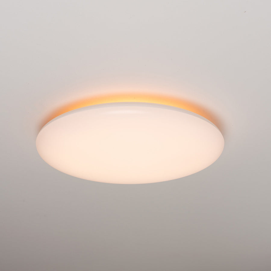 LED.nl Dimmbare LED-Deckenleuchte _ 35 cm – Dimmbar in 8 Positionen – Warmweiße Deckenleuchte - LED.de