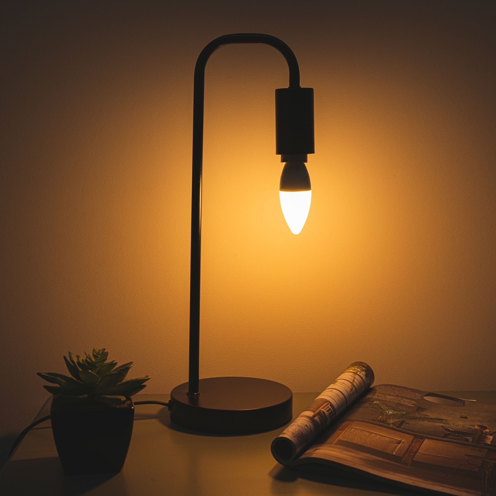 Proventa Dimbare LED Lamp E14 - Lichtkleur dimbaar naar extra warm wit licht - 1 x Kaars lamp Lichtbronnen LED.nl